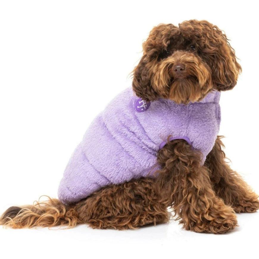 Lilac sales dog coat