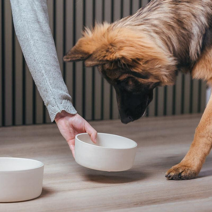 AVA Bowls | Ceramic Dog Bowl - Fennec-Ava bowls-Love My Hound