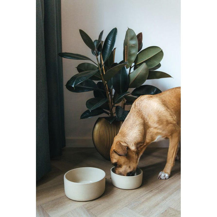 AVA Bowls | Ceramic Dog Bowl - Fennec-Ava bowls-Love My Hound