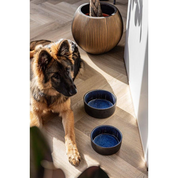 AVA Bowls | Ceramic Dog Bowl - Manta-Ava bowls-Love My Hound