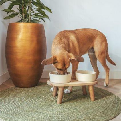 AVA | Premium Oak Dog Feeding Station-Ava bowls-Love My Hound