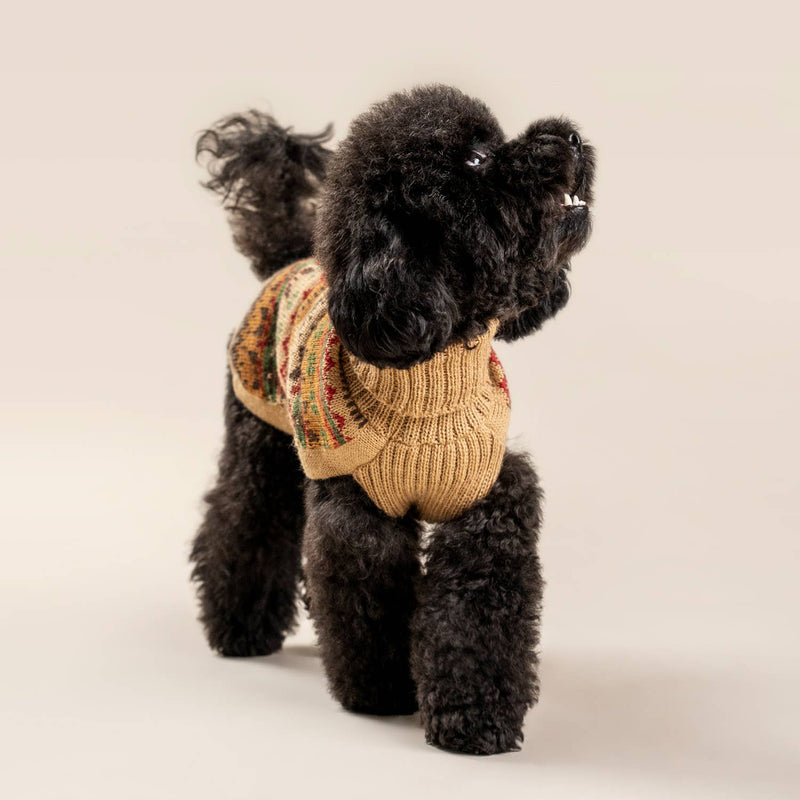 Alqo Wasi | Fair Isle Finn - Peruvian Alpaca Dog Jumper-Alqo Wasi-Love My Hound