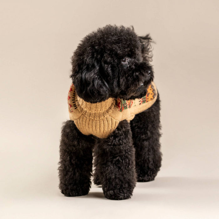 Alqo Wasi | Fair Isle Finn - Peruvian Alpaca Dog Jumper-Alqo Wasi-Love My Hound