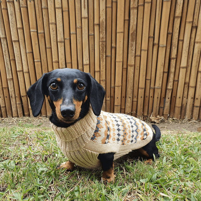 Alqo Wasi | Golden Dreams - Peruvian Alpaca Dog Jumper-Alqo Wasi-Love My Hound