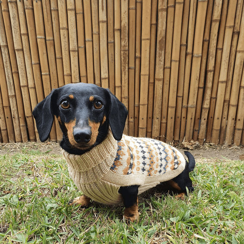 Alqo Wasi | Golden Dreams - Peruvian Alpaca Dog Jumper-Alqo Wasi-Love My Hound