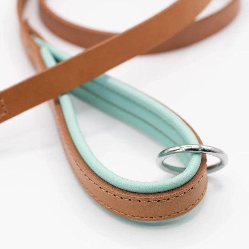 Dogs & Horses All Leather Dog Lead - Aqua & Tan-Dogs & Horses-Love My Hound