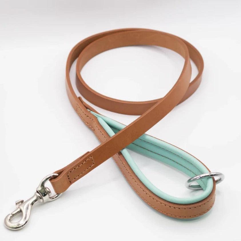 Dogs & Horses All Leather Dog Lead - Aqua & Tan-Dogs & Horses-Love My Hound