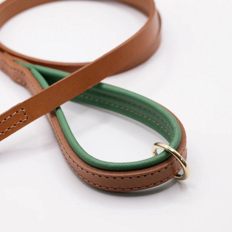 Dogs & Horses All Leather Dog Lead - Clover & Tan-Dogs & Horses-Love My Hound