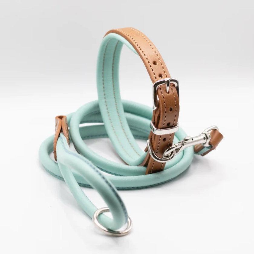 Dogs & Horses Padded Leather Dog Collar - Tan & Aqua-Dogs & Horses-Love My Hound