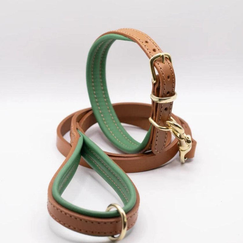 Dogs & Horses Padded Leather Dog Collar - Tan & Clover-Dogs & Horses-Love My Hound