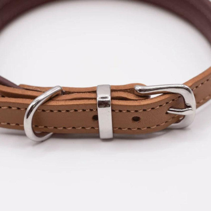 Dogs & Horses Padded Leather Dog Collar - Tan & Merlot-Dogs & Horses-Love My Hound