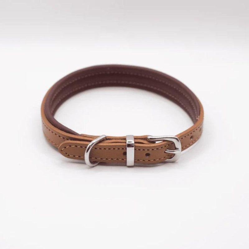 Dogs & Horses Padded Leather Dog Collar - Tan & Merlot-Dogs & Horses-Love My Hound