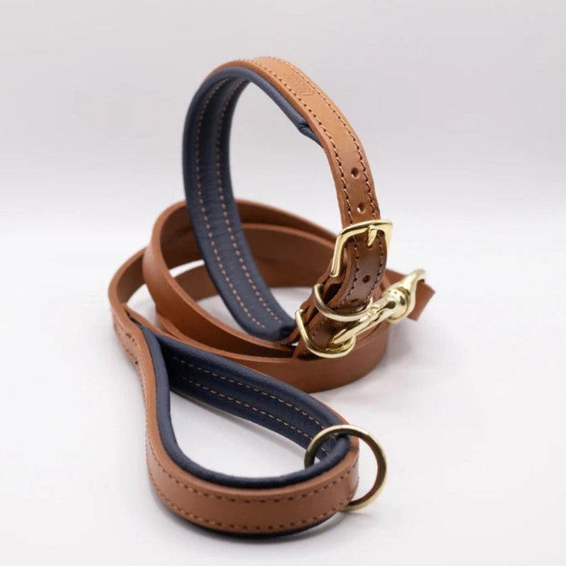 Dogs & Horses Padded Leather Dog Collar - Tan & Navy-Dogs & Horses-Love My Hound