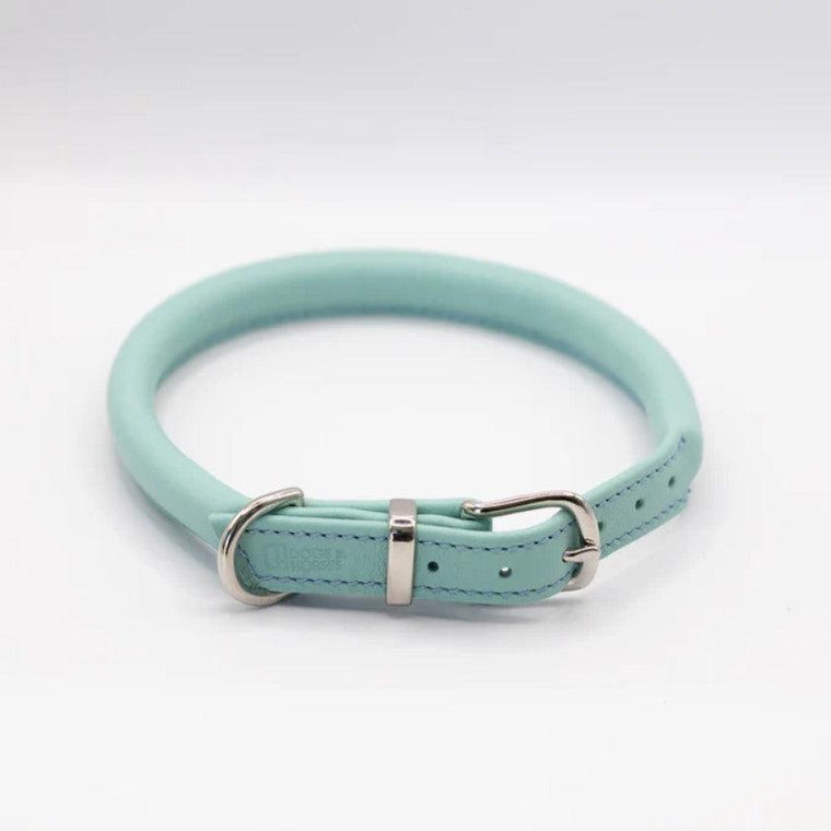 Dogs & Horses Rolled Leather Dog Collar - Aqua