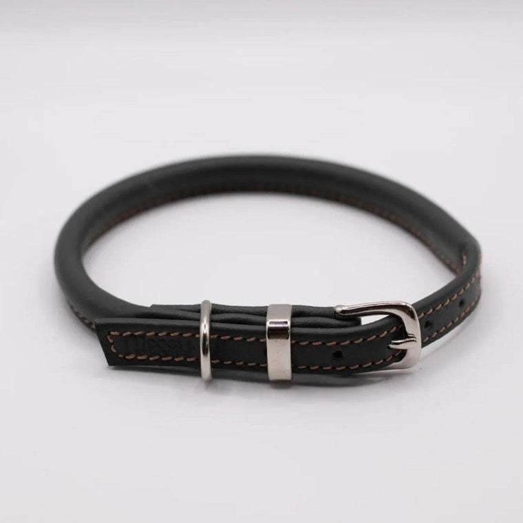 Dogs & Horses Rolled Leather Dog Collar - Racing Green