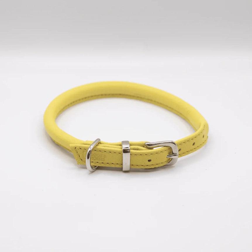 Dogs & Horses Rolled Leather Dog Collar - Yellow-Dogs & Horses-Love My Hound