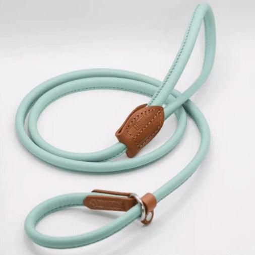 Dogs & Horses Rolled Leather Dog Lead - Aqua-Dogs & Horses-Love My Hound