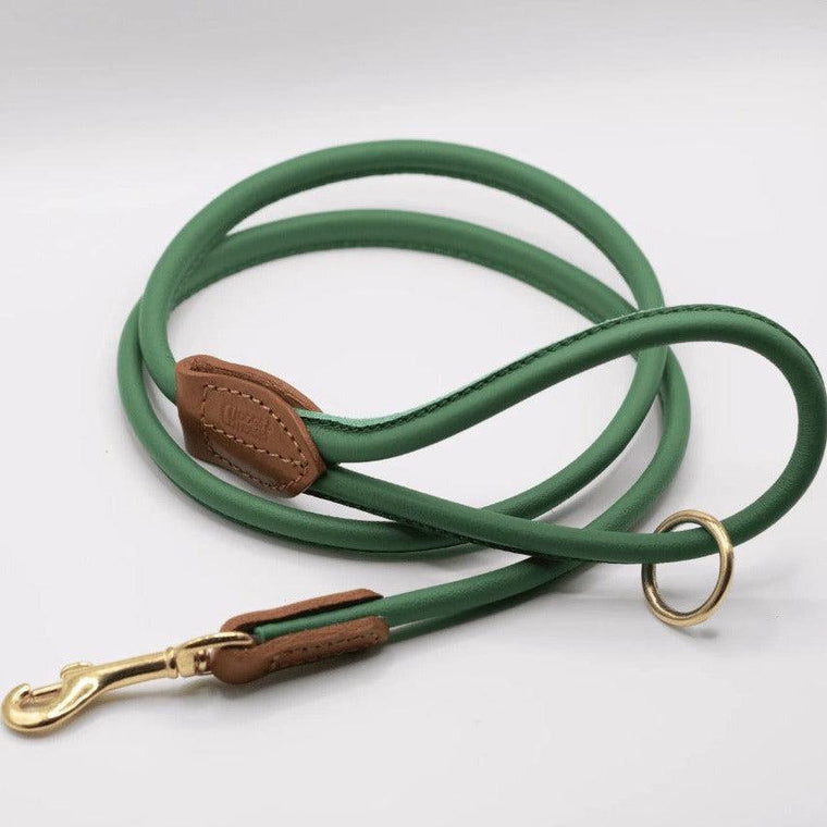 Dogs & Horses Rolled Leather Dog Lead - Clover