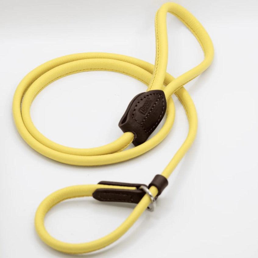 Dogs & Horses Rolled Leather Dog Lead - Yellow-Dogs & Horses-Love My Hound