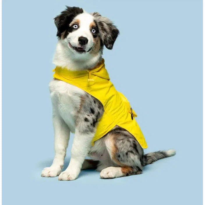 Fabdog | Yellow Packaway Dog Raincoat-Fabdog-Love My Hound