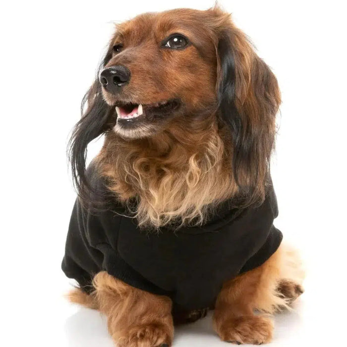 FuzzYard | Allday Sweater - Black-FuzzYard-Love My Hound