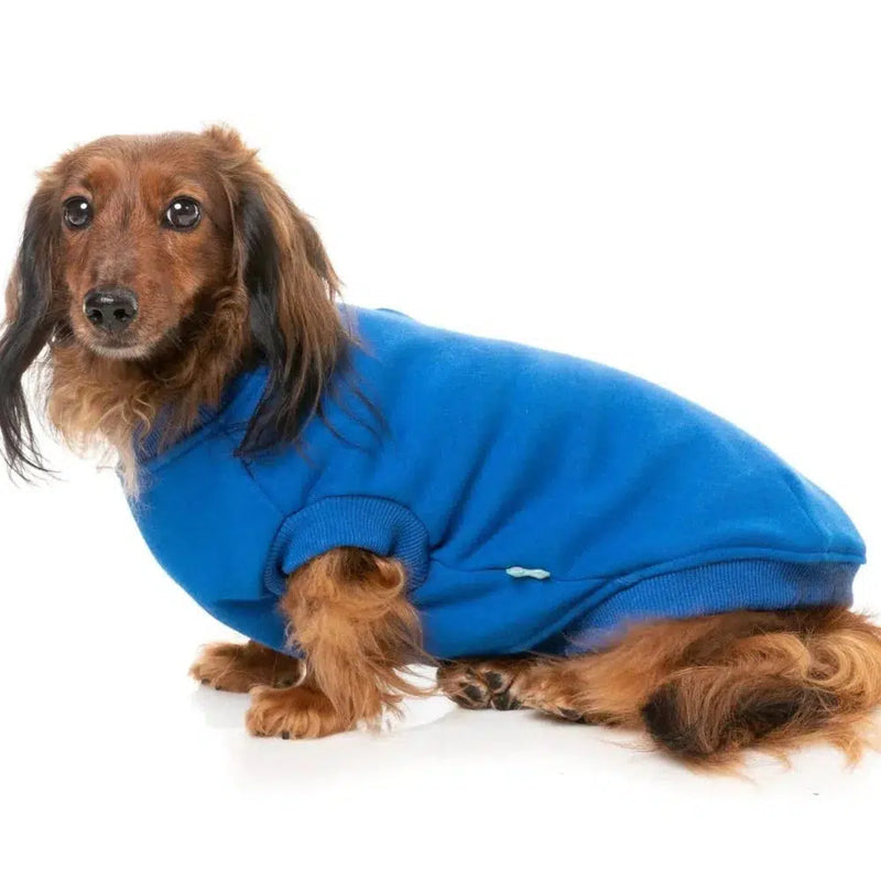 FuzzYard | Allday Sweater - Blue-FuzzYard-Love My Hound