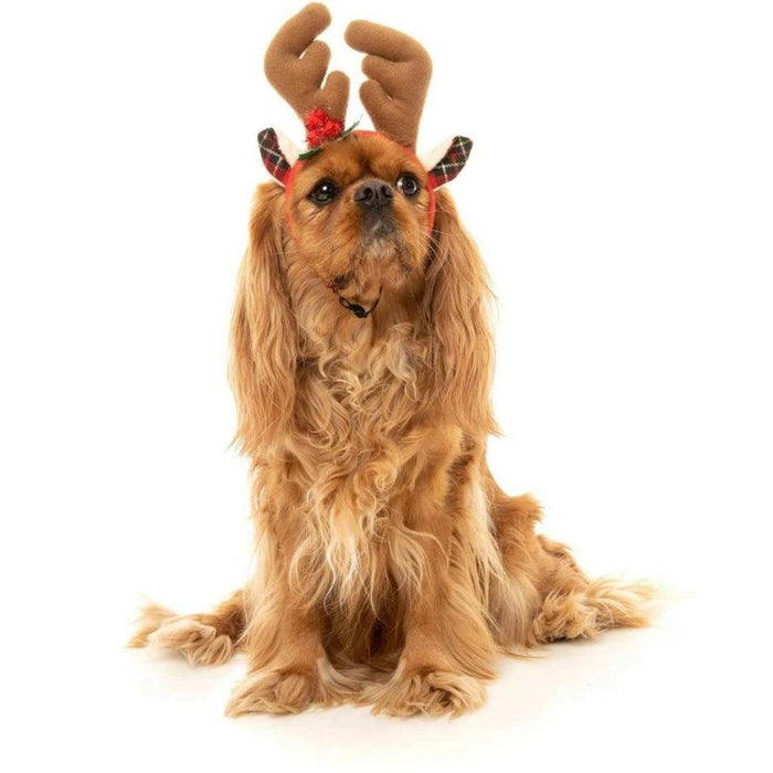 FuzzYard | Christmas Reindeer Antlers-FuzzYard-Love My Hound