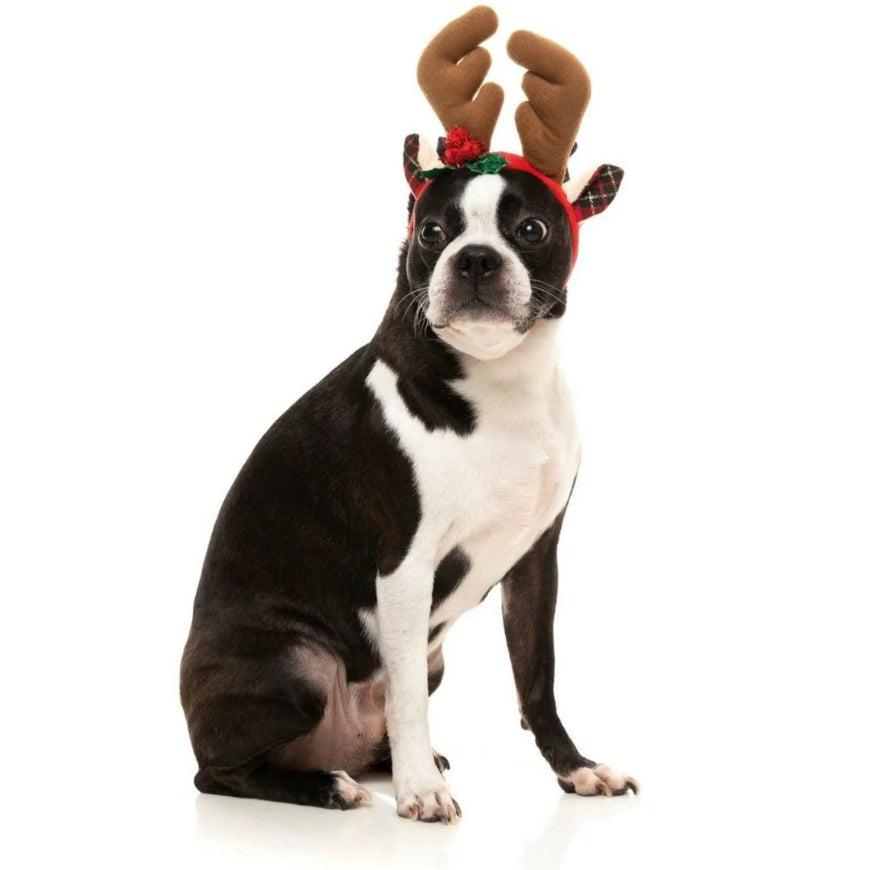 FuzzYard | Christmas Reindeer Antlers-FuzzYard-Love My Hound