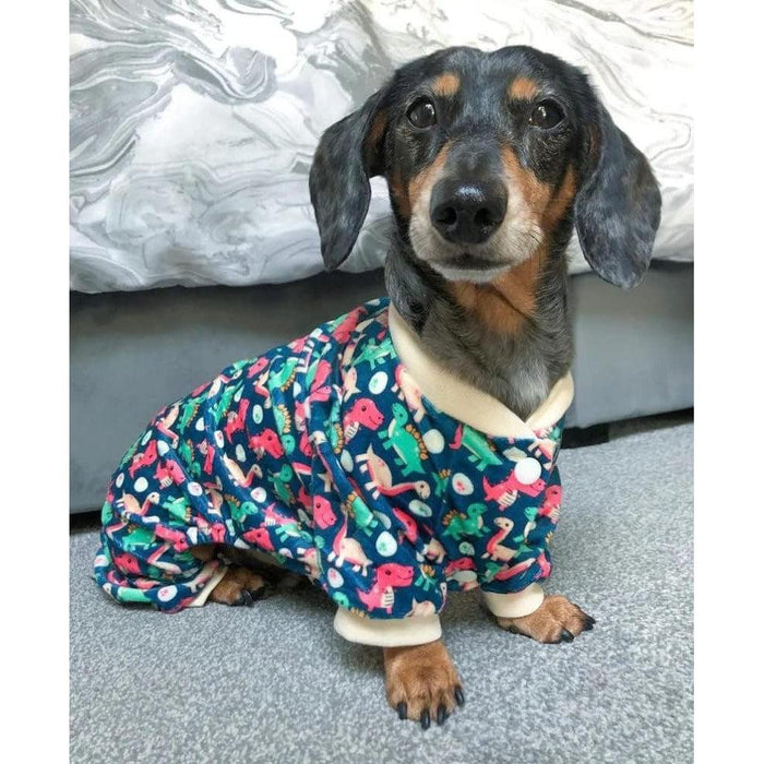 FuzzYard | Dinosaur Land | Dog Pyjamas-FuzzYard-Love My Hound