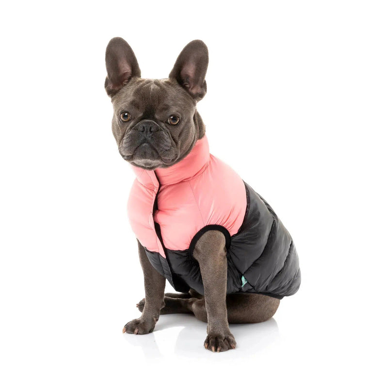 FuzzYard | East Harlem Dog Puffer Jacket - Pink-FuzzYard-Love My Hound