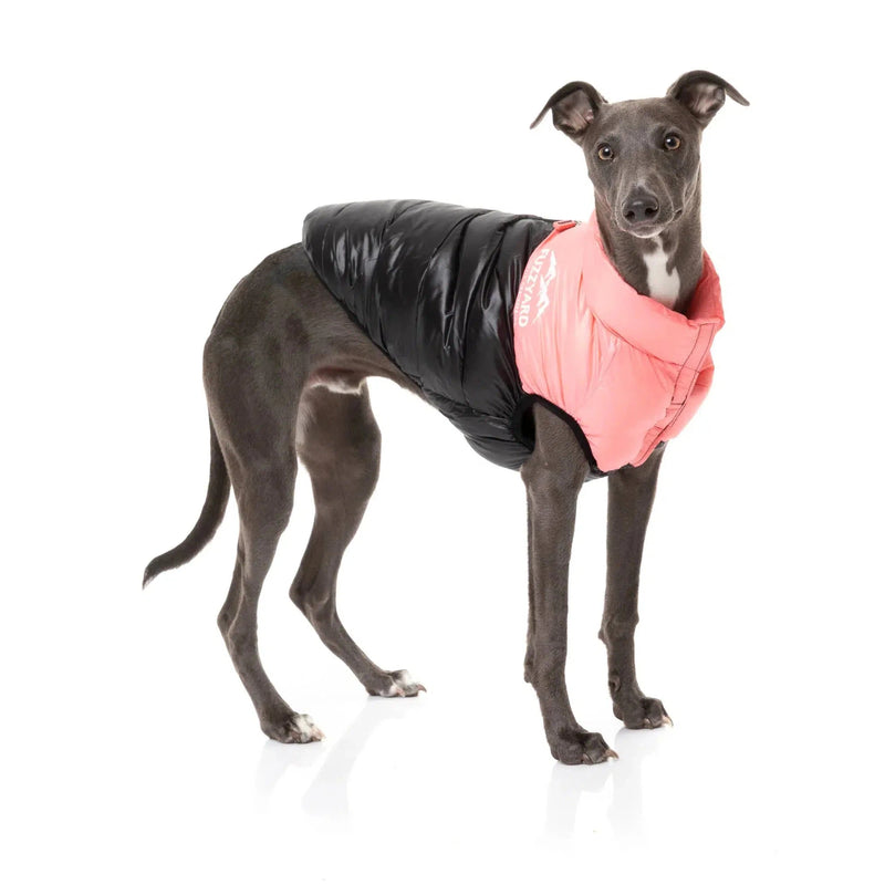 FuzzYard | East Harlem Dog Puffer Jacket - Pink-FuzzYard-Love My Hound