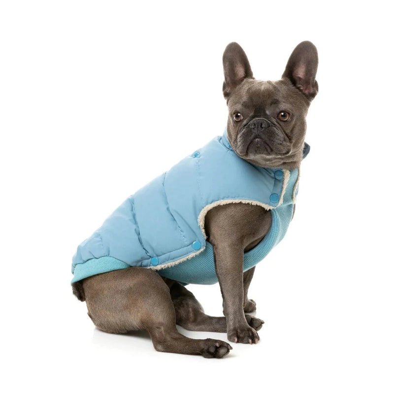 FuzzYard | Essential Puffer Jacket - Blue-FuzzYard-Love My Hound