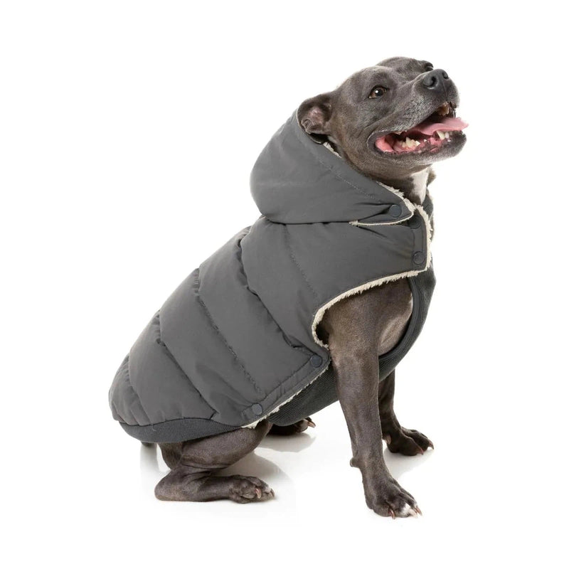 FuzzYard | Essential Puffer Jacket - Charcoal-FuzzYard-Love My Hound