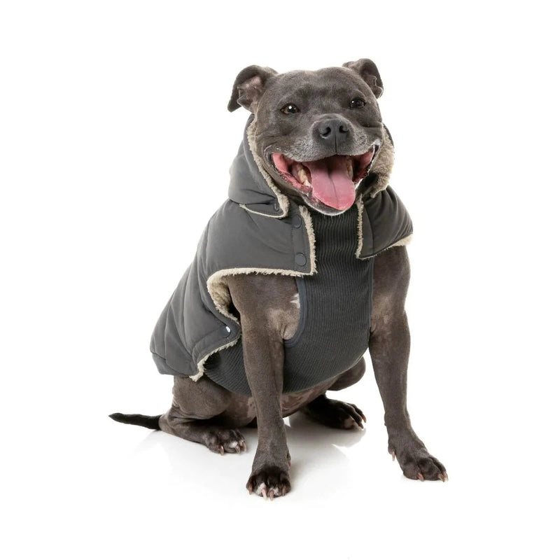 FuzzYard | Essential Puffer Jacket - Charcoal-FuzzYard-Love My Hound