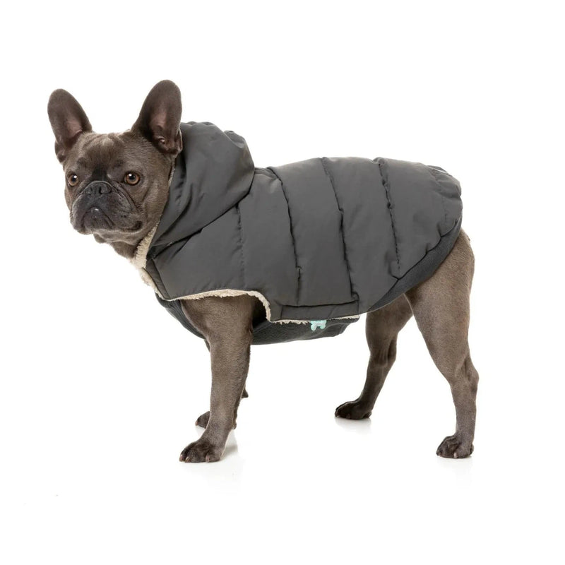 FuzzYard | Essential Puffer Jacket - Charcoal-FuzzYard-Love My Hound