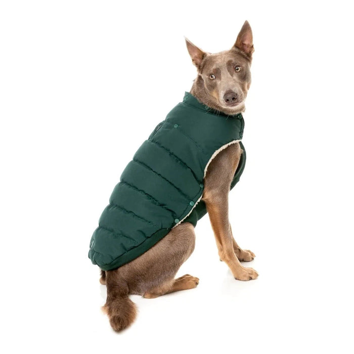 FuzzYard | Essential Puffer Jacket - Forest Green-FuzzYard-Love My Hound