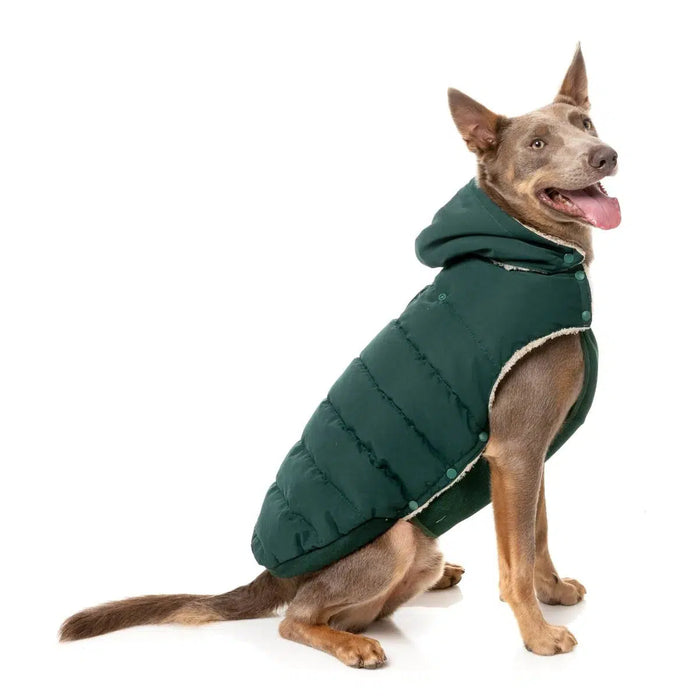 FuzzYard | Essential Puffer Jacket - Forest Green-FuzzYard-Love My Hound