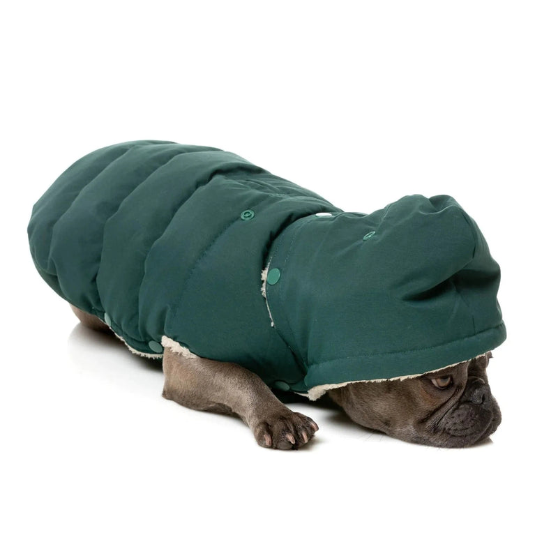 FuzzYard | Essential Puffer Jacket - Forest Green-FuzzYard-Love My Hound