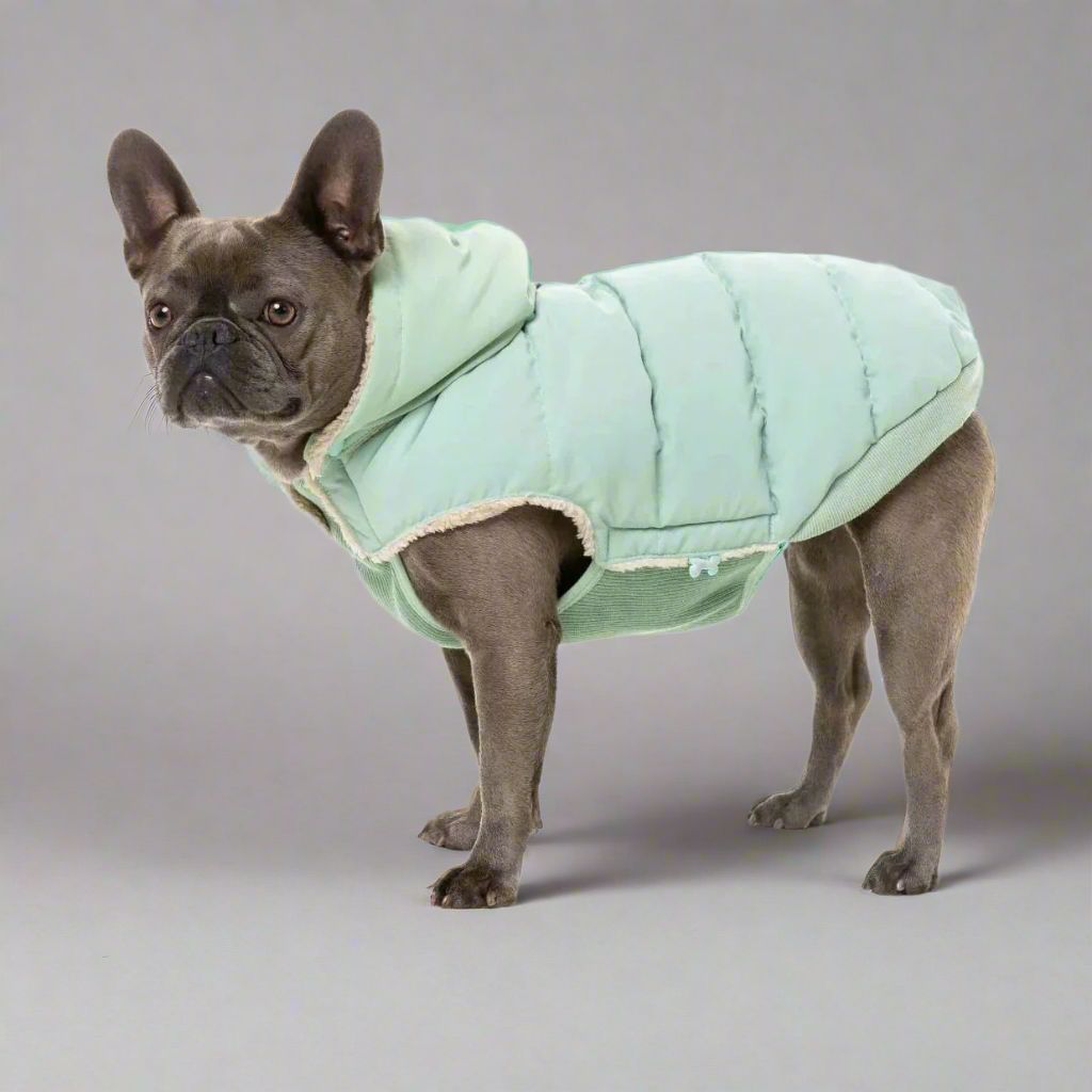 FuzzYard | Essential Puffer Jacket - Mint-FuzzYard-Love My Hound