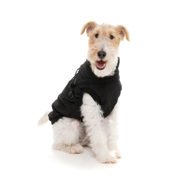 FuzzYard | Flash Harness Jacket - Black-FuzzYard-Love My Hound