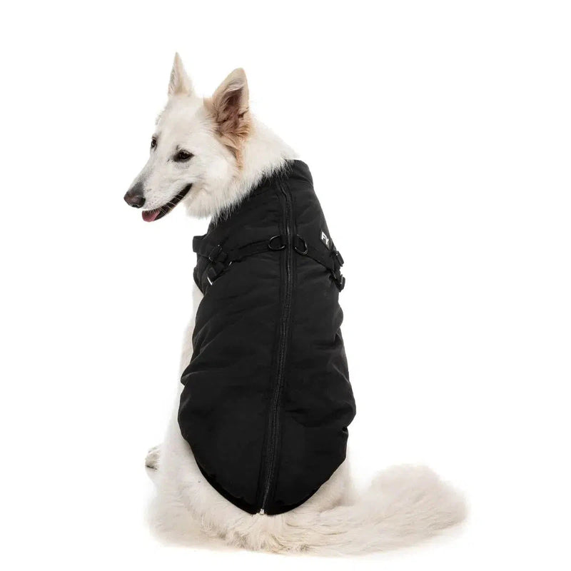 FuzzYard | Flash Harness Jacket - Black-FuzzYard-Love My Hound