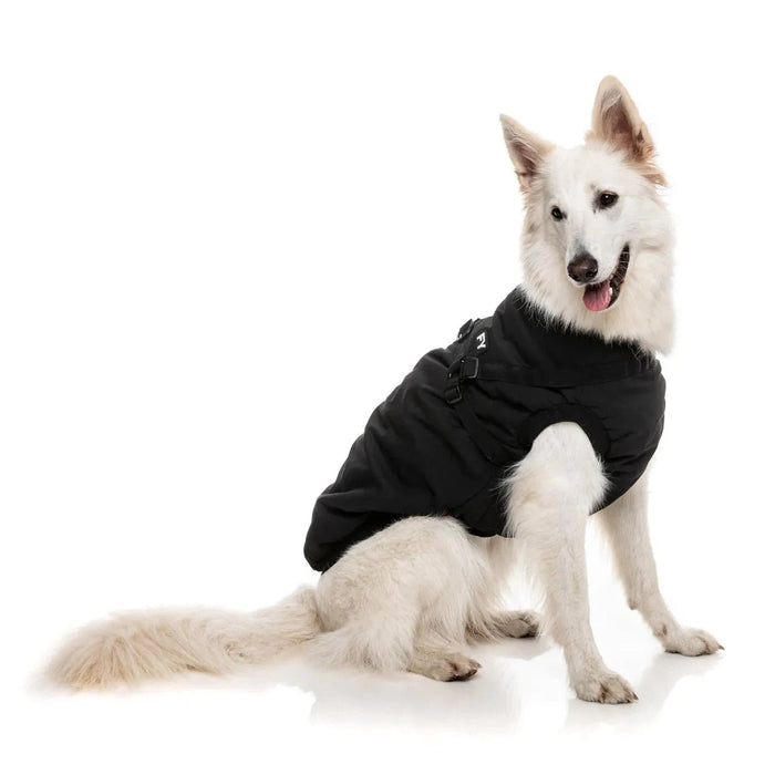 FuzzYard | Flash Harness Jacket - Black-FuzzYard-Love My Hound