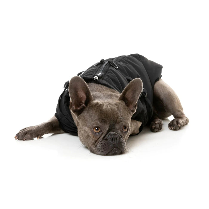 FuzzYard | Flash Harness Jacket - Black-FuzzYard-Love My Hound