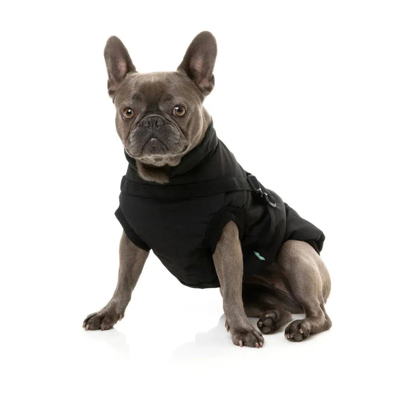 FuzzYard | Flash Harness Jacket - Black-FuzzYard-Love My Hound