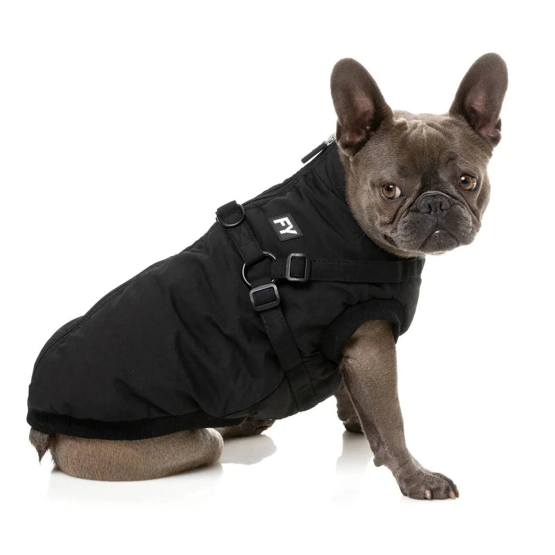 FuzzYard | Flash Harness Jacket - Black-FuzzYard-Love My Hound