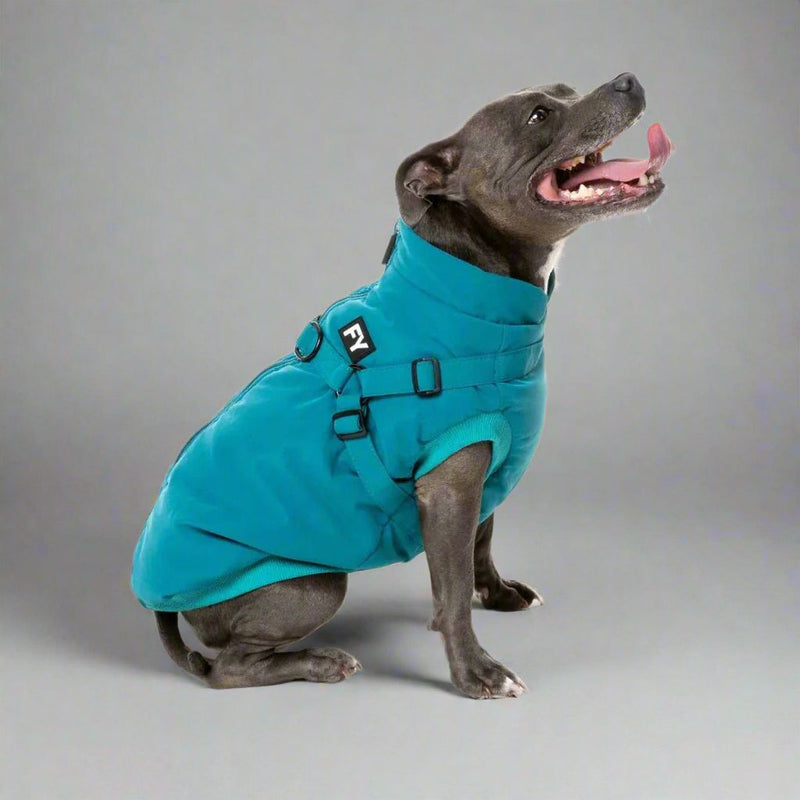 FuzzYard | Flash Harness Jacket - Dark Teal-FuzzYard-Love My Hound