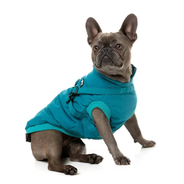 FuzzYard | Flash Harness Jacket - Dark Teal-FuzzYard-Love My Hound