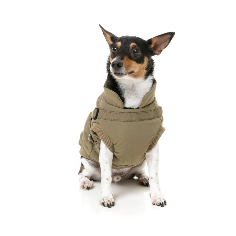 FuzzYard | Flash Harness Jacket - Khaki-FuzzYard-Love My Hound