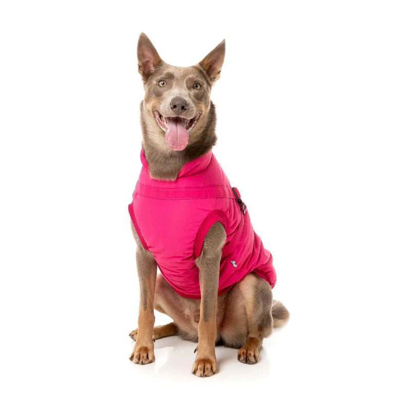 FuzzYard | Flash Jacket - Magenta-FuzzYard-Love My Hound