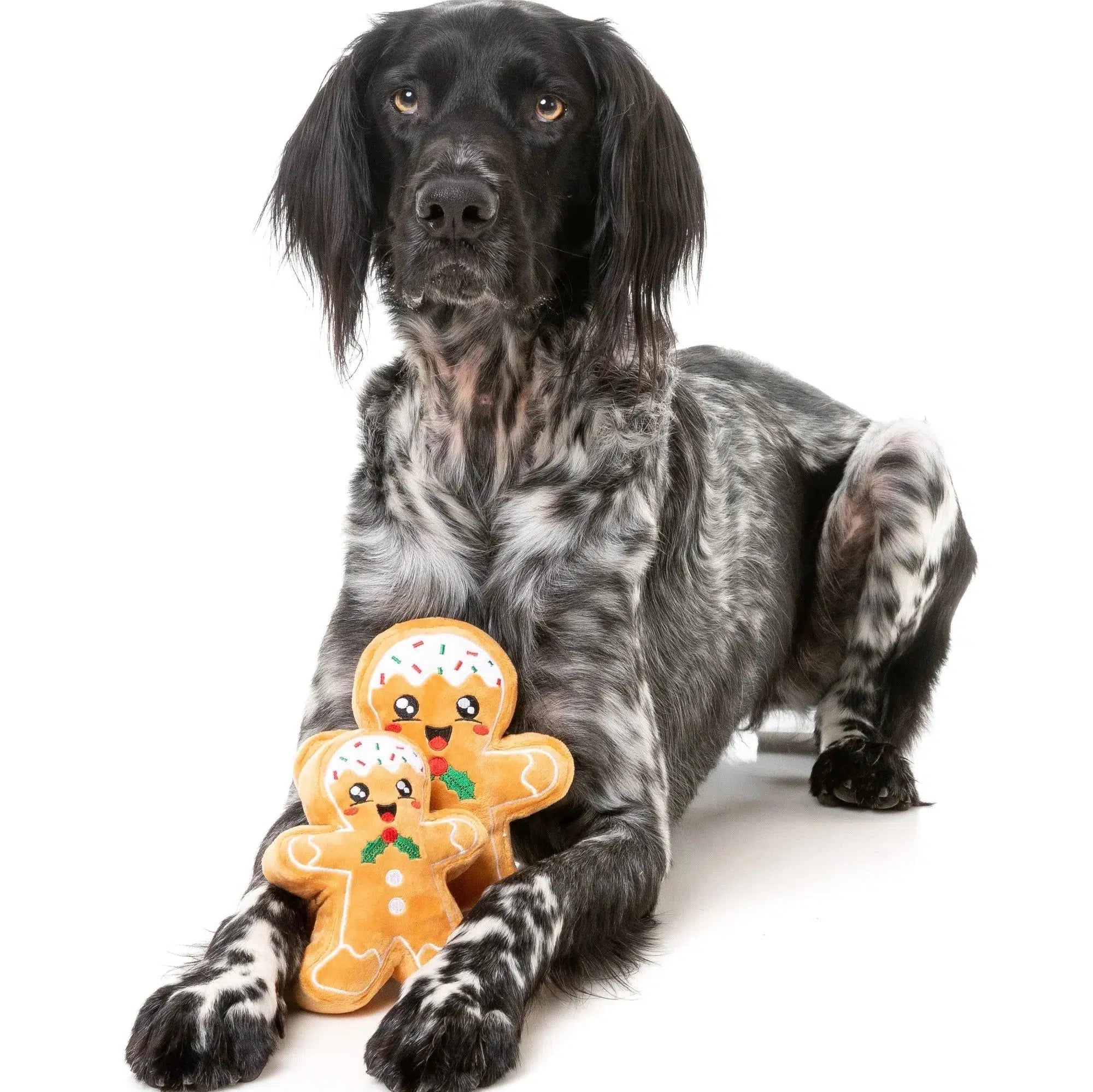 FuzzYard | Fred the Gingerbread - Dog Toy-FuzzYard-Love My Hound